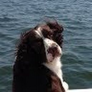 Meet your Posher, Maribeth