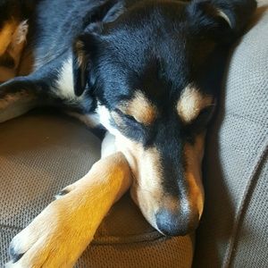 Meet your Posher, Nicole