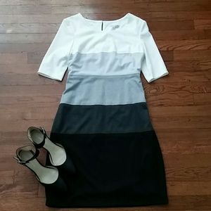 Sandra Darren Striped Fitted Dress