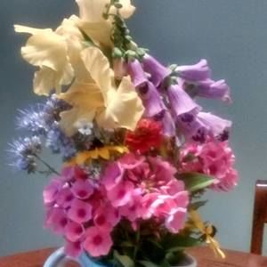 Meet your Posher, Jen