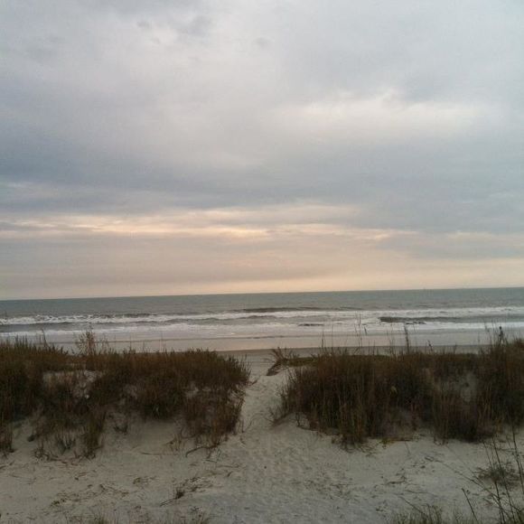 Meet your Posher, Dara - Picture 1 of 1