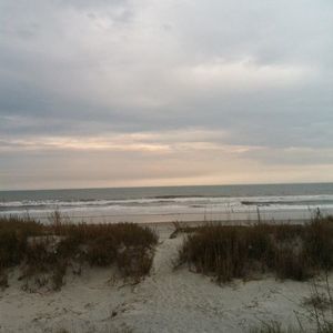 Meet your Posher, Dara