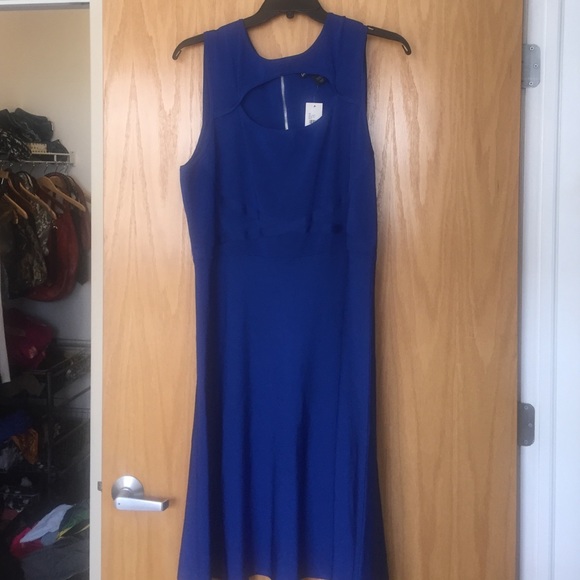 Royal Blue Fit and Flare dress Lane Bryant