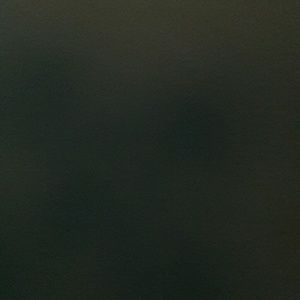 Meet your Posher, Daniela