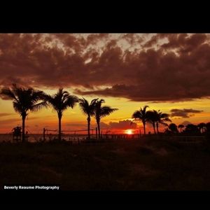 Meet your Posher, Marcy