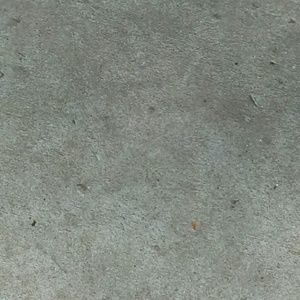 Meet your Posher, Chadnell