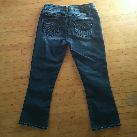 Silver Capris - Picture 2 of 4