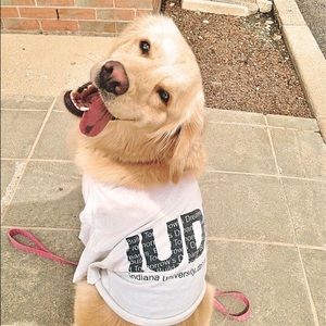 Meet your Posher, Dani