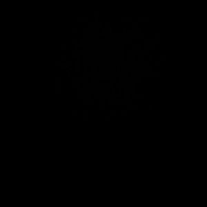 Meet your Posher, Tony