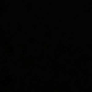 Meet your Posher, Randy