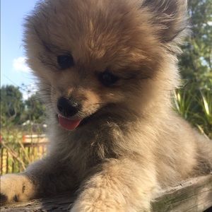 Meet your Posher, Kathy