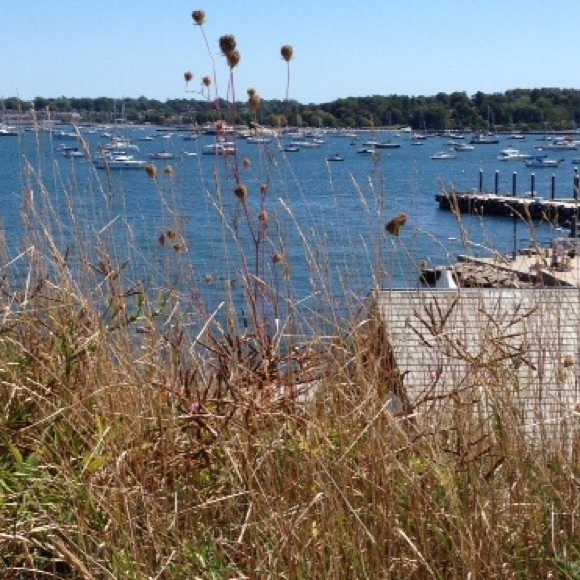 Meet your Poshers! - Picture 2 of 5