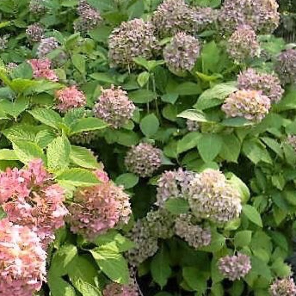 Meet your Poshers! - Picture 3 of 5