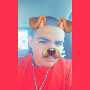 Meet your Posher, Richard