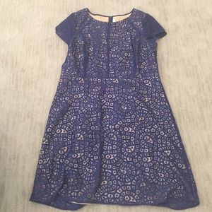 Loft Navy Dress with Nude Lining