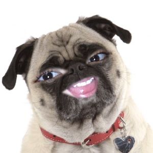 Meet your Posher, Camila