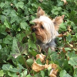 Meet your Posher, Vanessa