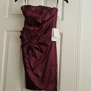 NWT Gorgeous Amethyst Party Dress