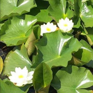 Meet your Posher, Mckenna