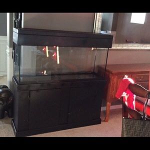 55 gallon fish tank..