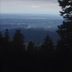 Meet your Posher, Tim