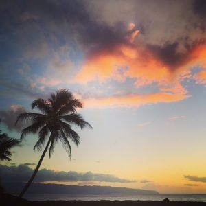 Meet your Posher, Liz