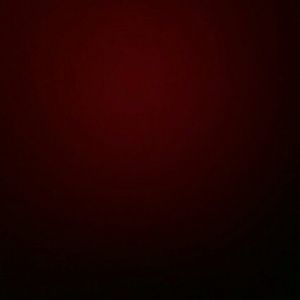 Meet your Posher, Vuki