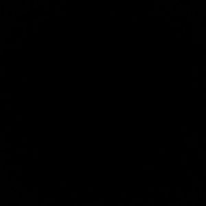 Meet your Posher, Shanice