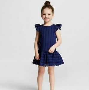Toddler Girls Navy Eyelet Dress