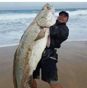 Meet your Posher, Nolan