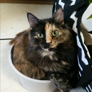 Meet your Posher, Larissa