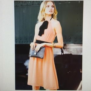 NEW Victoria's Secret Blush Dress!