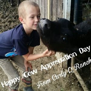 Meet your Posher, Teresa