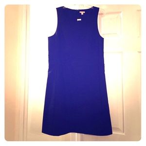 NEW Gap Dress for Work or Play!