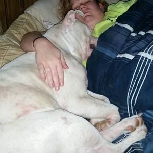 Meet your Posher, Beverley