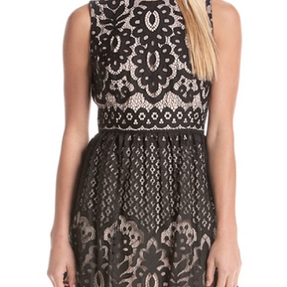 Tommy Hilfiger Black Lace Dress - Picture 4 of 4