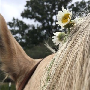 Meet your Posher, Elly