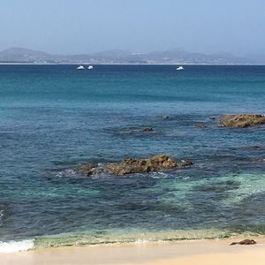 Meet your Posher, Teddie