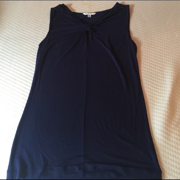 Cabi Blueberry Top