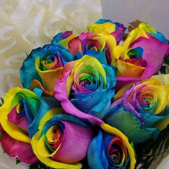 Meet your Posher, Kasey - Picture 1 of 1