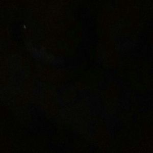 Meet your Posher, Weslee