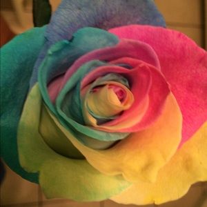 Meet your Posher, Phyllis