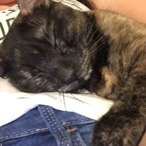 Meet your Posher, Beth