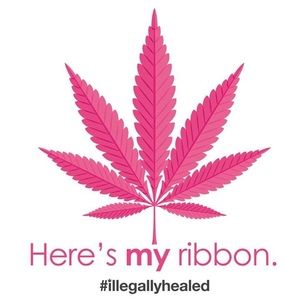 Meet your Posher, Jake