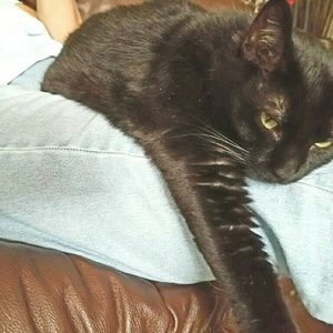 Meet your Posher, Cleo