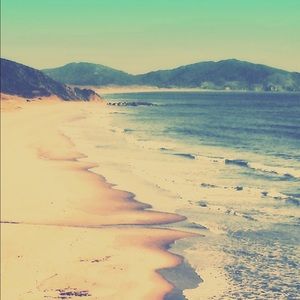 Meet your Posher, Michele