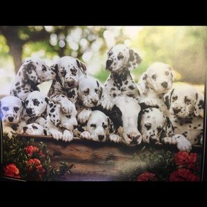 Meet your Posher, Evelyn