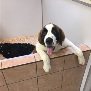 Meet your Posher, Jason