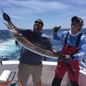 Meet your Posher, Ted