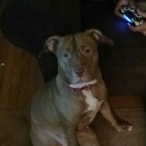 Meet your Posher, Brittany